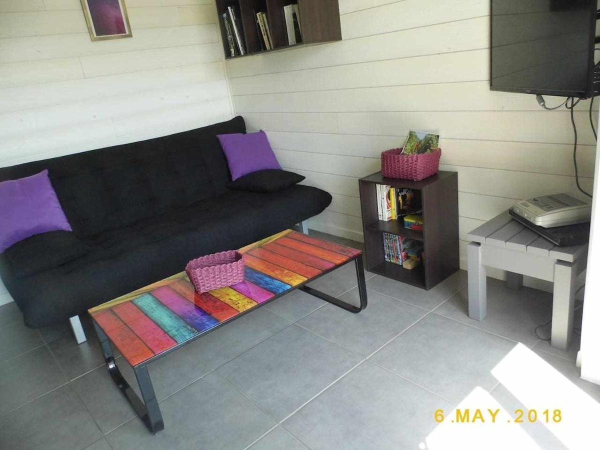 Joli Petit T2 Calme Au Bord De Leau Villa Vieille-Brioude Ngoại thất bức ảnh